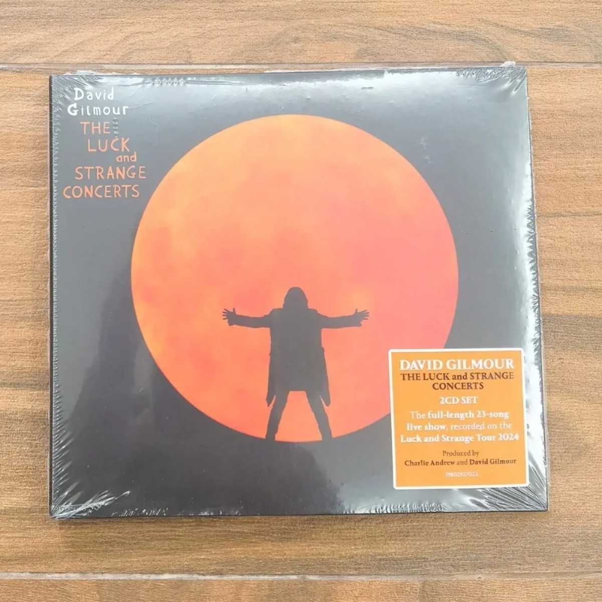David Gilmour The Luck and Str - Official Audio Music recensione e prezzo