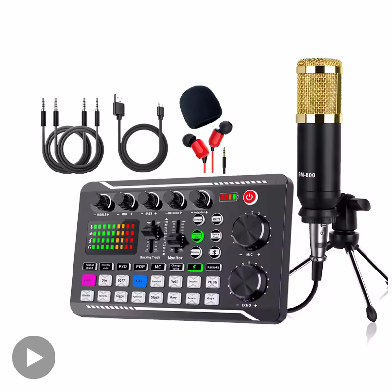 Professional Microphone Mic Bl - Audio Music Voice Changer recensione e prezzo