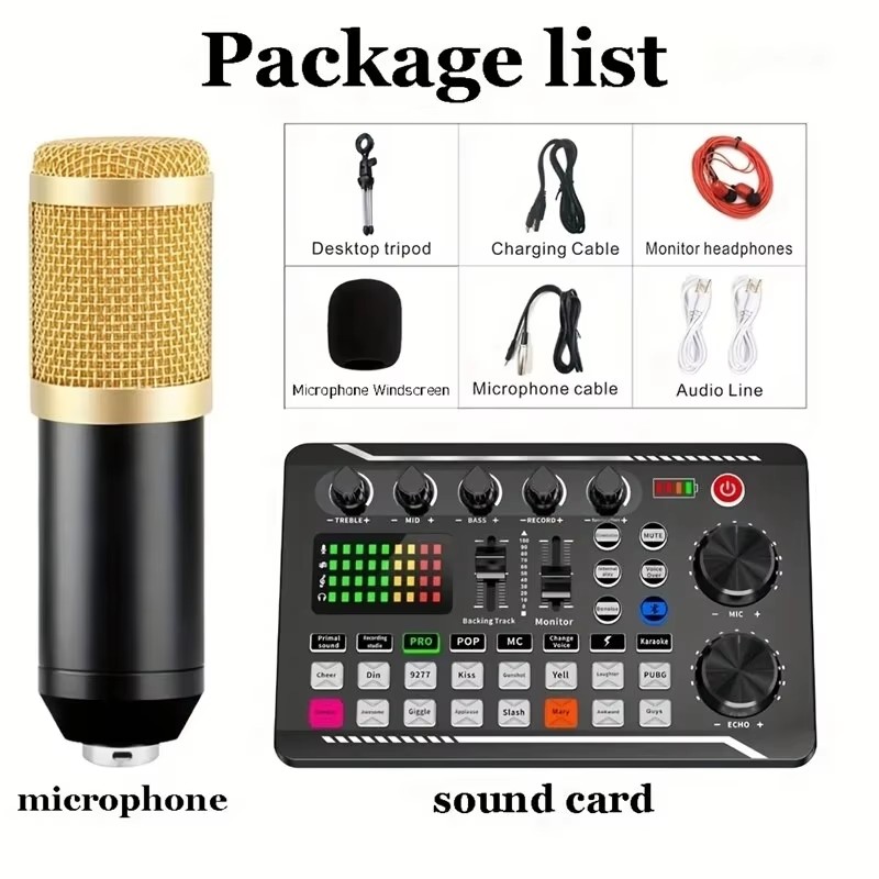 Condenser Microphone Professio - Audio Music Voice Changer recensione e prezzo
